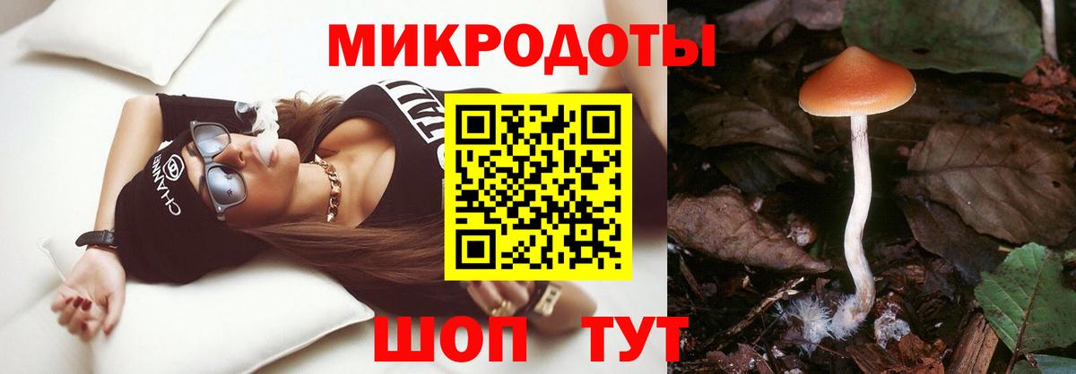 Галлюциногенные грибы Psilocybine cubensis Челябинск